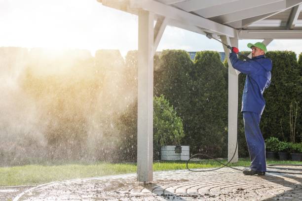 Best Roof Washing  in Umatilla, FL